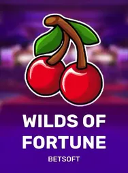 Wilds Of Fortune